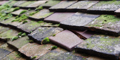 Forton roof repair costs